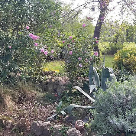 Maison Dulcis Bed & Breakfast