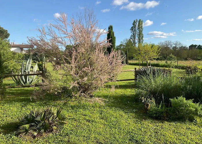 Maison Dulcis 3* Saint-Maixant (Gironde)