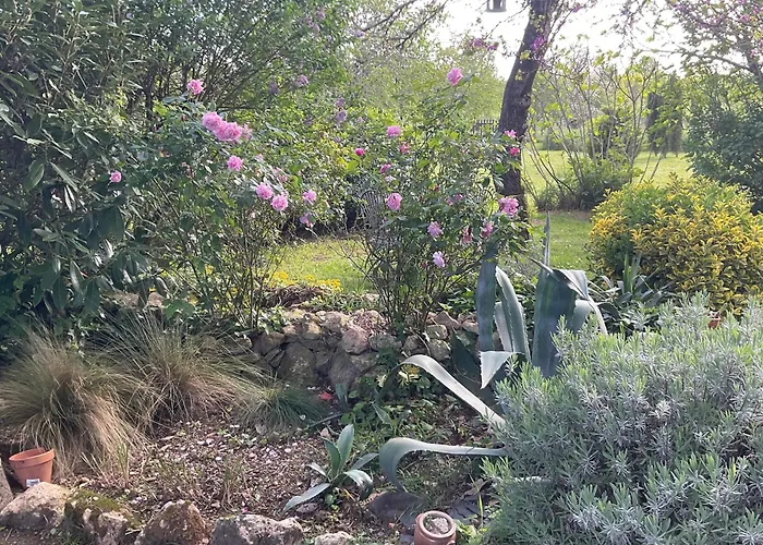 Maison Dulcis Bed & Breakfast